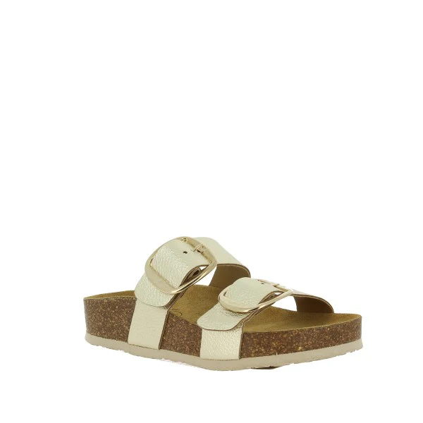 Plakton 346038 ORO - Image 2