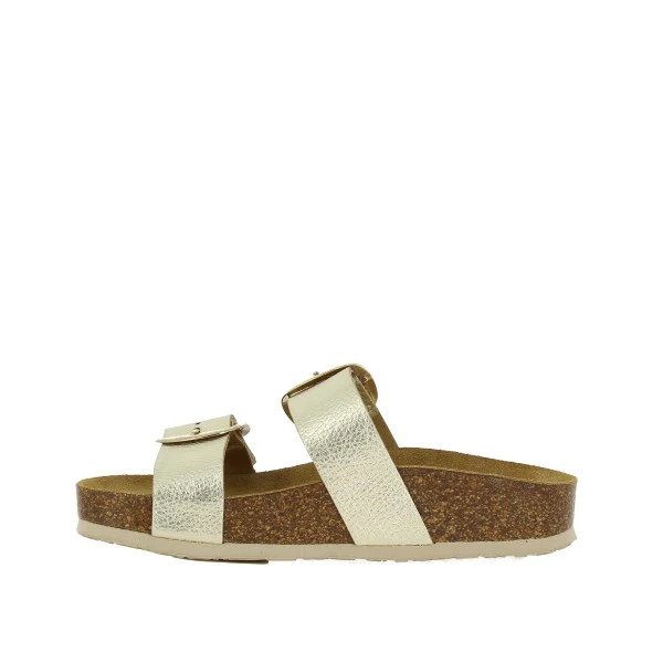 Plakton 346038 ORO - Image 3