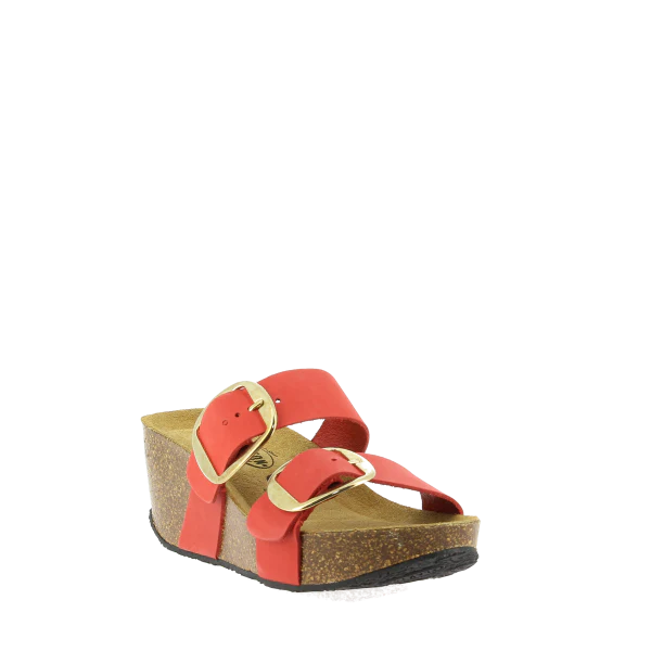 Plakton 876038 ROSSO - Image 2